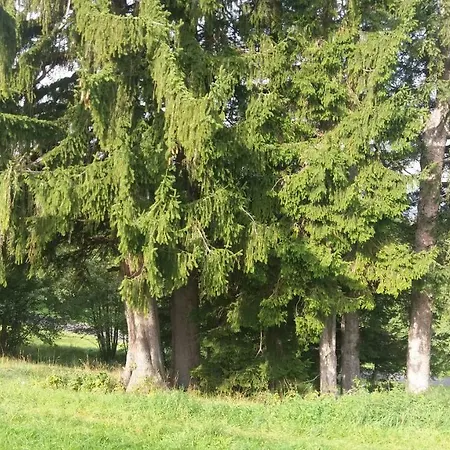 Miniferienwohnung Fuer Unkompliziertes Naturliebhaberpaerchen Payerbach Esterno foto
