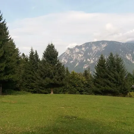 Miniferienwohnung Fuer Unkompliziertes Naturliebhaberpaerchen Payerbach Esterno foto
