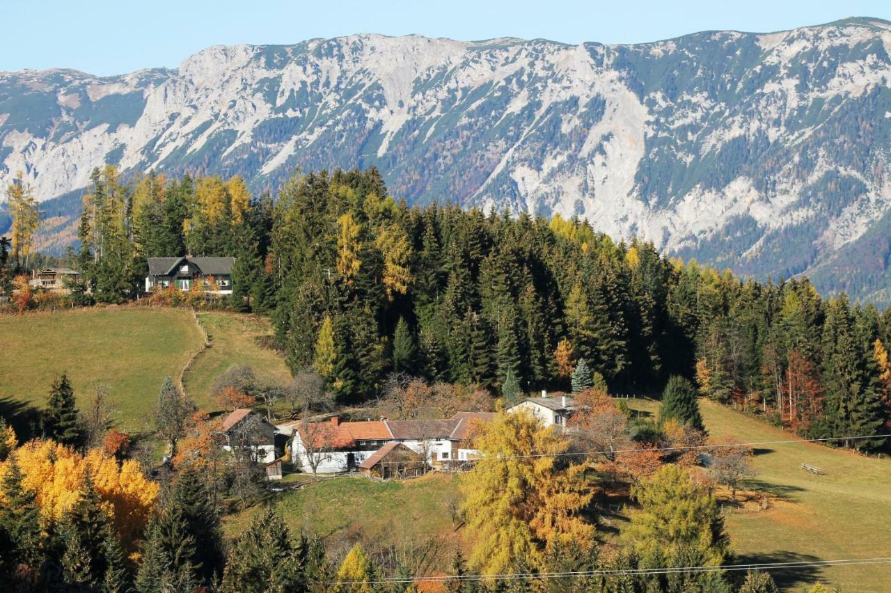 Miniferienwohnung Fuer Unkompliziertes Naturliebhaberpaerchen Payerbach