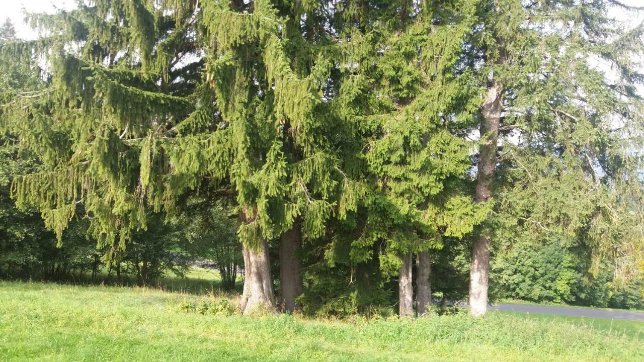 Miniferienwohnung Fuer Unkompliziertes Naturliebhaberpaerchen Apartment *
