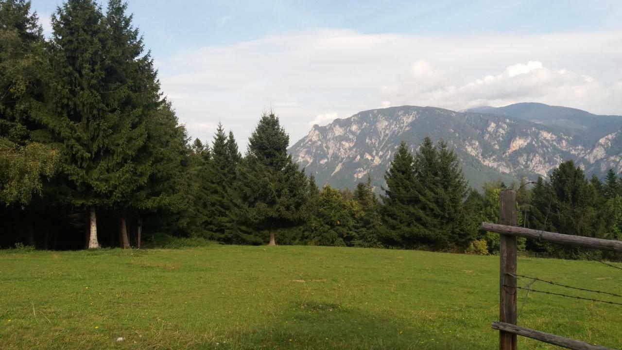 Appartamento Miniferienwohnung Fuer Unkompliziertes Naturliebhaberpaerchen Payerbach