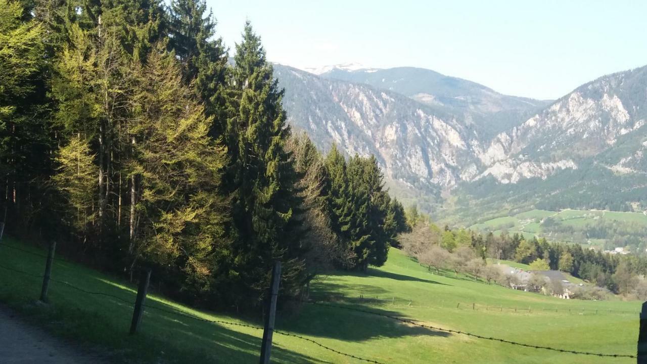 Miniferienwohnung Fuer Unkompliziertes Naturliebhaberpaerchen Apartment Payerbach